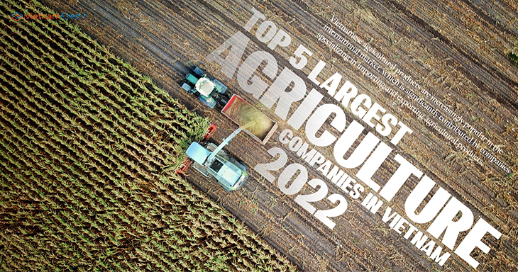 Top 5 largest agriculture companies in Vietnam 2022